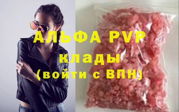 индика Баксан