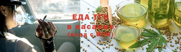 индика Баксан