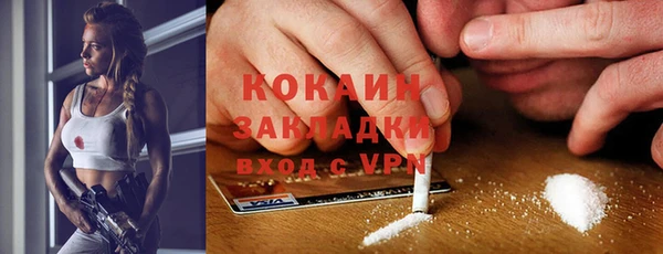 индика Баксан