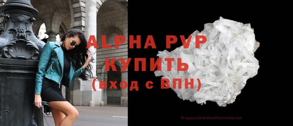 индика Баксан