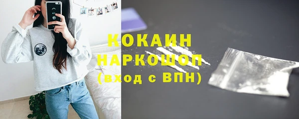 индика Баксан