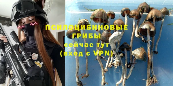 спиды Балабаново