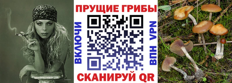 Псилоцибиновые грибы мухоморы  даркнет сайт  Красный Сулин 
